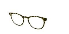 The Olive Tortoise