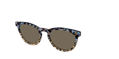 The Polarized Oasis Tortoise Split Sun Top