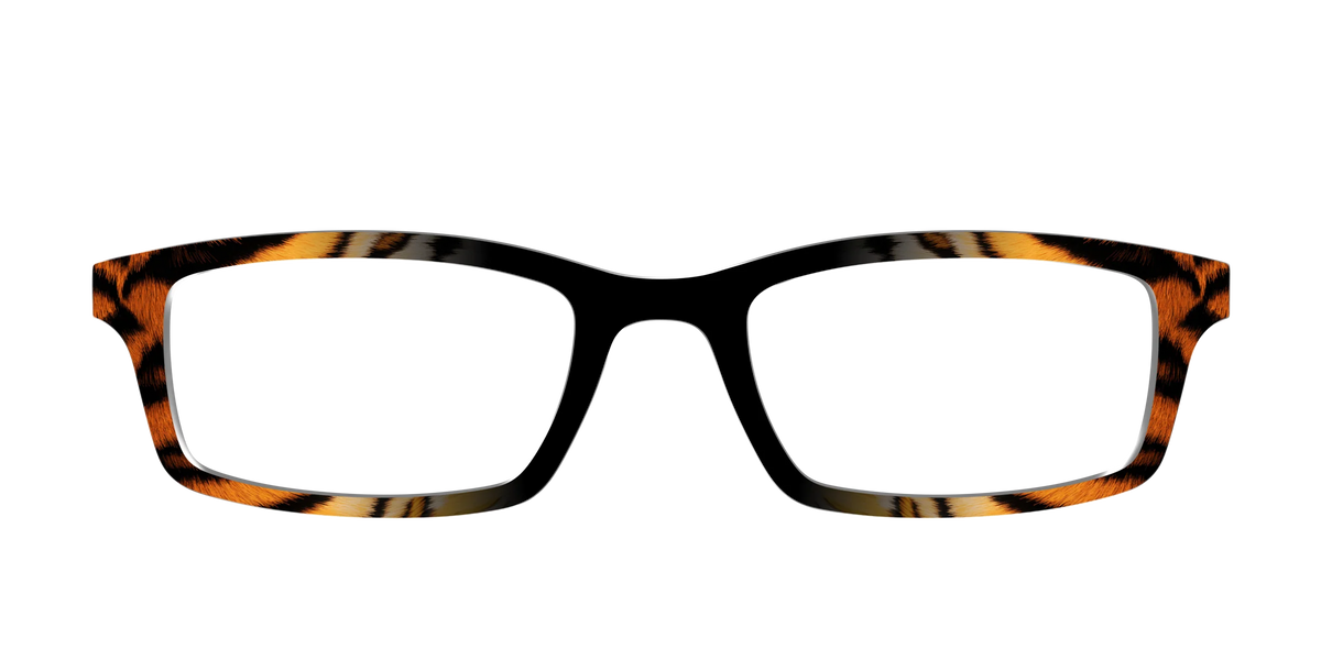 The Bengal Stripes