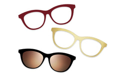 Tortoise - Set