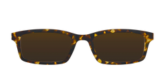 The Polarized Tortoise Sun Top